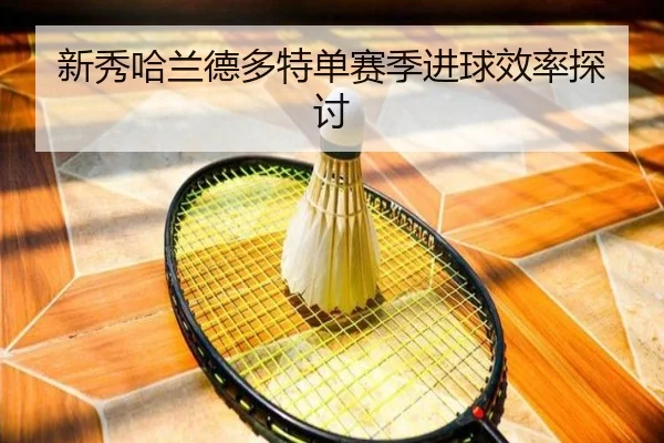 新秀哈兰德多特单赛季进球效率探讨
